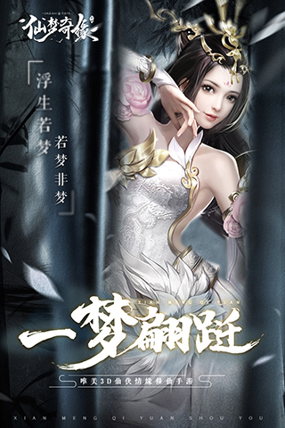 仙梦奇缘截图1