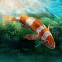水族设计师官方中文版下载-水族设计师手游最新版下载 V1.0.0