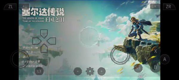 呆萌switch模拟器截图5