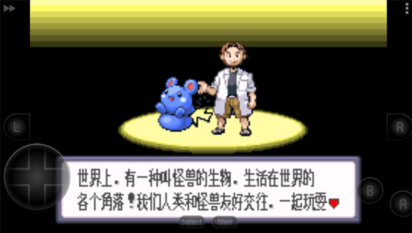 口袋妖怪蓝宝石截图2