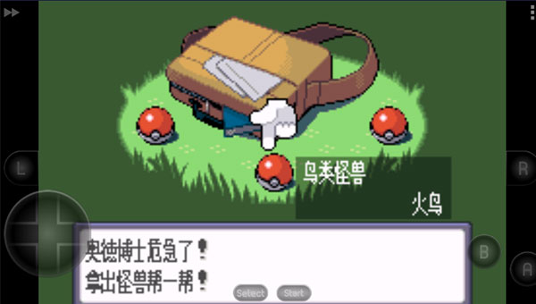 口袋妖怪蓝宝石截图4