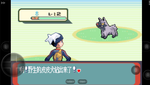 口袋妖怪蓝宝石截图5