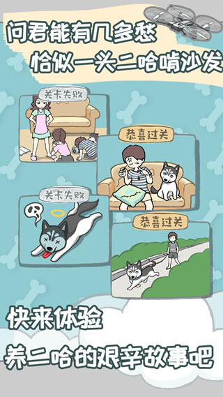 养只二哈不容易截图1