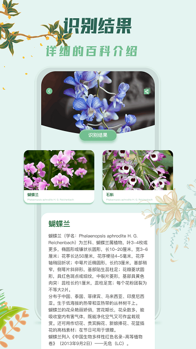 识花君植物识别截图2