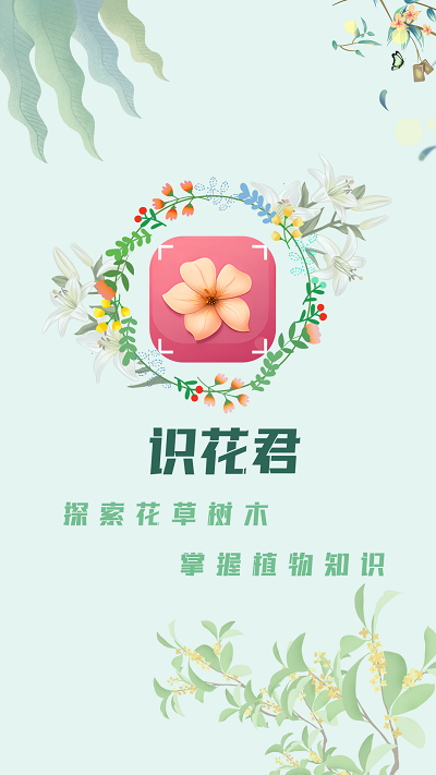 识花君植物识别截图3