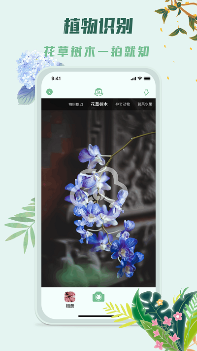 识花君植物识别截图4