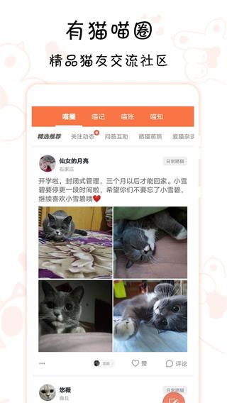领喵app截图2