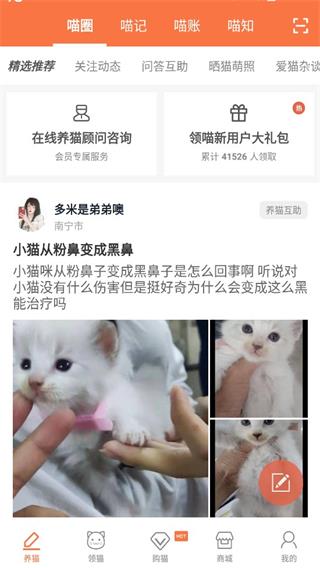 领喵app截图5