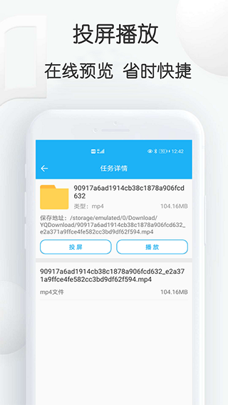 云雀idm网页视频下载器截图2