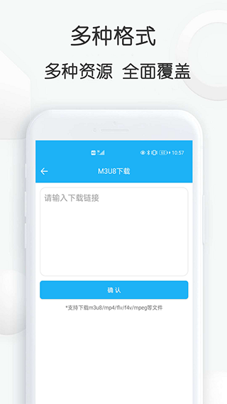 云雀idm网页视频下载器截图3