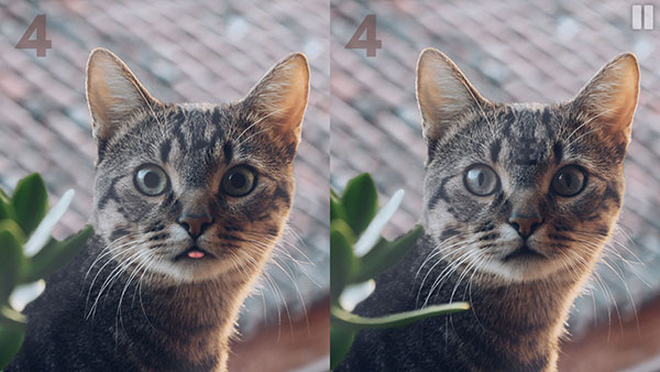 慧眼寻异截图4