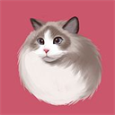 壁纸库安卓版下载-壁纸库app下载 V1.0.1