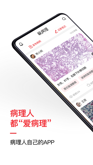 爱病理截图1