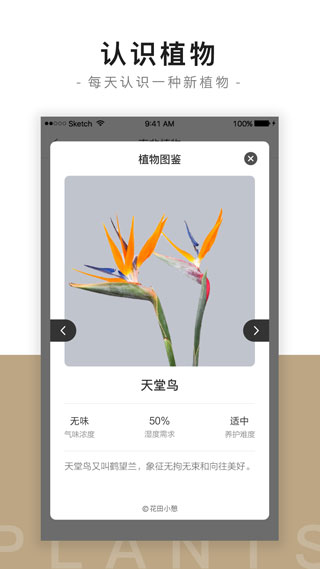 花田小憩截图4