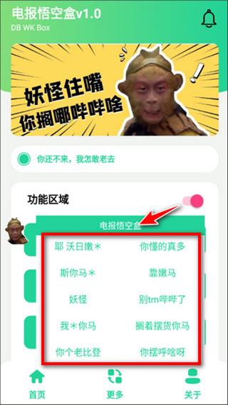 电报悟空盒截图5