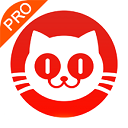 猫眼票房实时数据分析软件下载-猫眼票房专业版app下载 V6.19.0