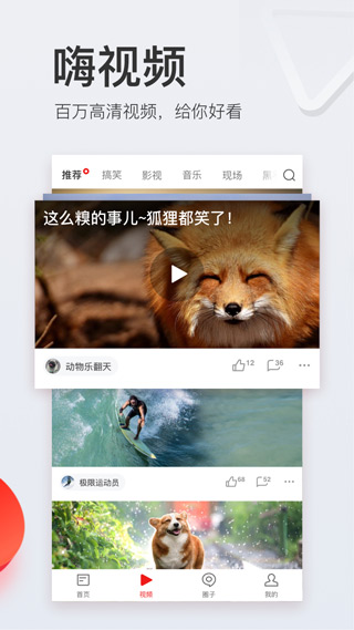 网易新闻app2025最新版截图5