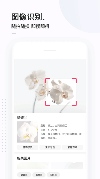 简单搜索截图2