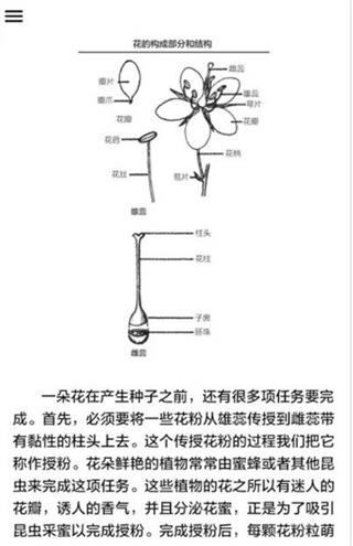 野外植物识别手册截图5