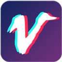 视频豆豆安卓版-视频豆豆app下载 V3.6.5