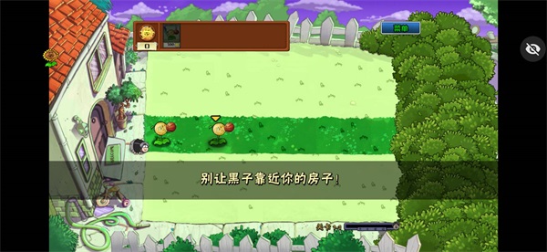 植物大战僵尸ikun版截图4