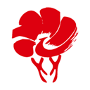 放新办最新版下载-放新办app最新版本下载 V1.1.4