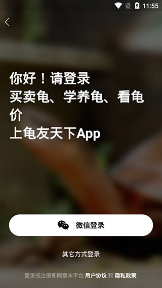 龟友天下截图4