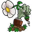 植物大战僵尸lz重制版下载-植物大战僵尸lz重制版最新版 V1.3.6.1