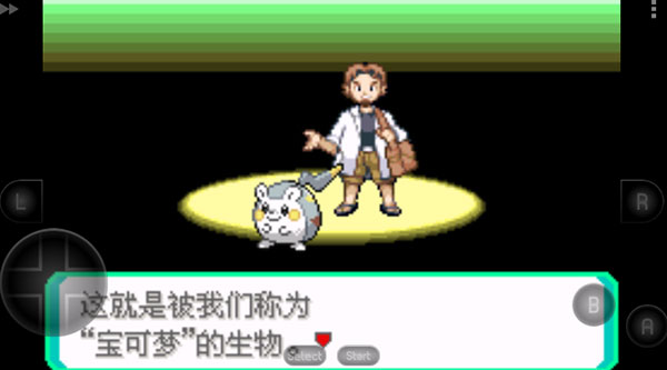 口袋妖怪究极绿宝石4截图1