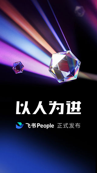 飞书视频会议截图1
