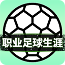职业足球生涯手机版下载-职业足球生涯游戏下载 v1.0.3
