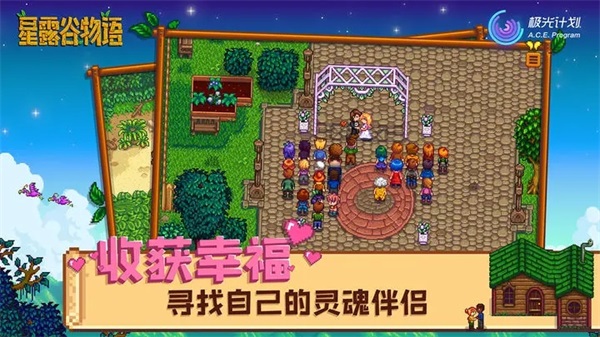 星露谷物语手游官方正版截图4