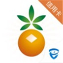 九商信用卡下载-九商信用卡app V2.1.19