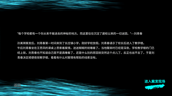 孙美琪疑案王思凤截图2