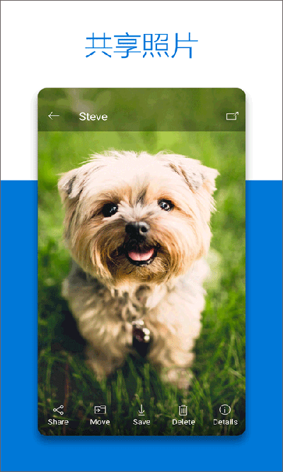 OneDrive手机版截图2