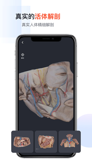 口袋人体解剖app截图4