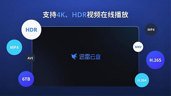 迅雷云盘TV版截图1