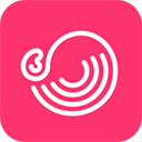 灰豚数据分析软件下载-灰豚数据app下载 V2.8.1