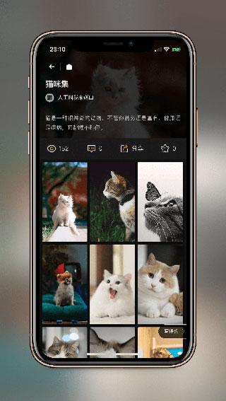 纸塘壁纸截图4
