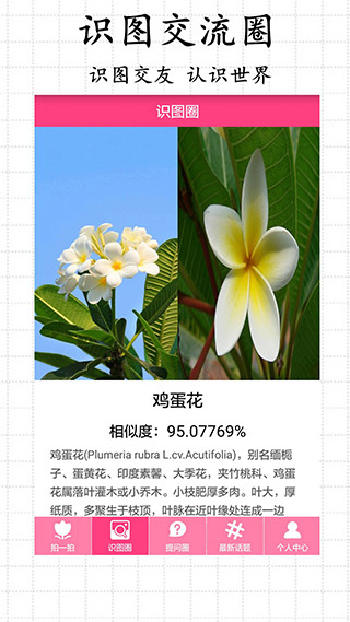 拍照识物截图2