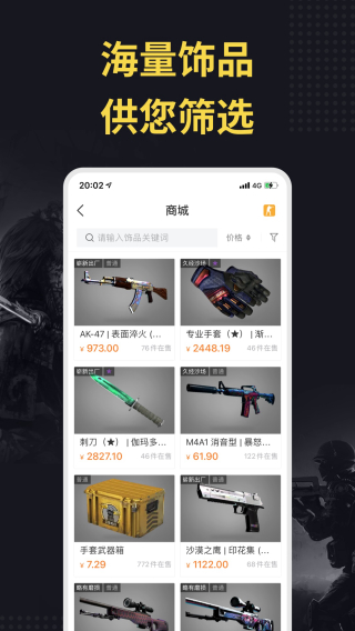 C5game截图2