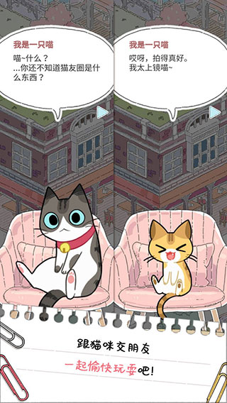 猫友圈猫咪的旅行截图4
