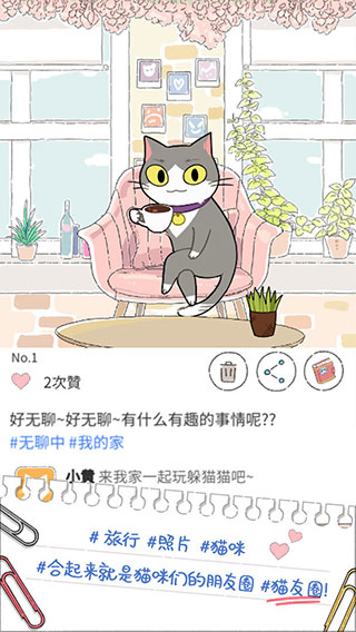 猫友圈猫咪的旅行截图5